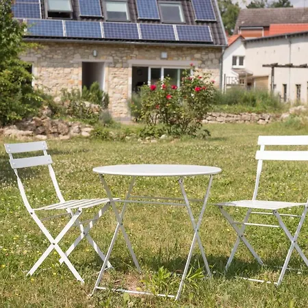 Traumhaus Mit „park“: Landidylle Mitten Im Zentrum * Maguncia