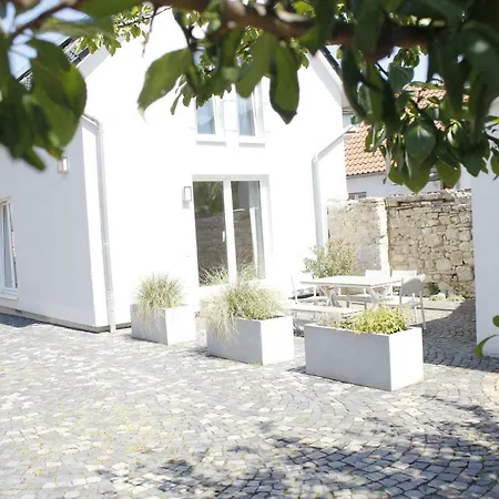 Traumhaus Mit „park“: Landidylle Mitten Im Zentrum * Maguncia