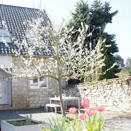 Traumhaus Mit „park“: Landidylle Mitten Im Zentrum Сasa de vacaciones Maguncia
